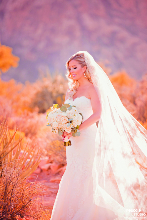 Bridal Spectacular_MoxieStudio Schrock Wedding Red Rock Resort 11 Tu Mb
