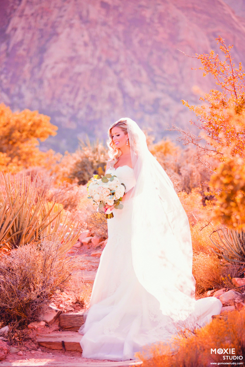 Bridal Spectacular_MoxieStudio  Schrock Wedding  Red Rock Resort 12 Tu Mb