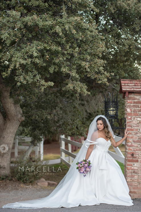 Bridal Spectacular_MarcellaP_SpringMTR_23