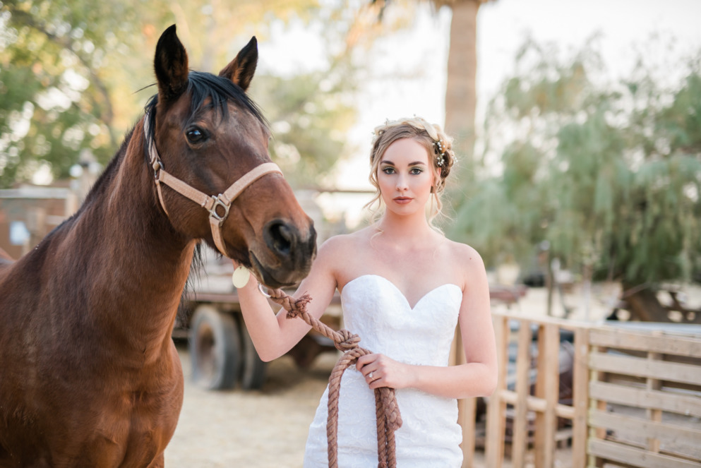 Bride and Horse at The Farm by Kristen Marie Weddings + Portraits