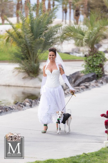 Bride Walks The Aisle With Dog