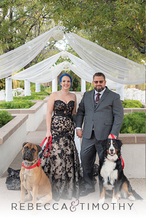 Becca & Tim pose with their two big dogs at their Las Vegas Wedding. Becca wears a nude and black strapless wedding gown and her groom wears a custom suit and tie from Jack suits